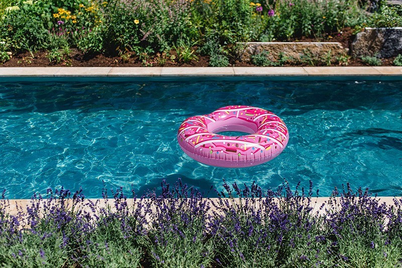 A swimming hoop floating on the clear water of a living pool.
